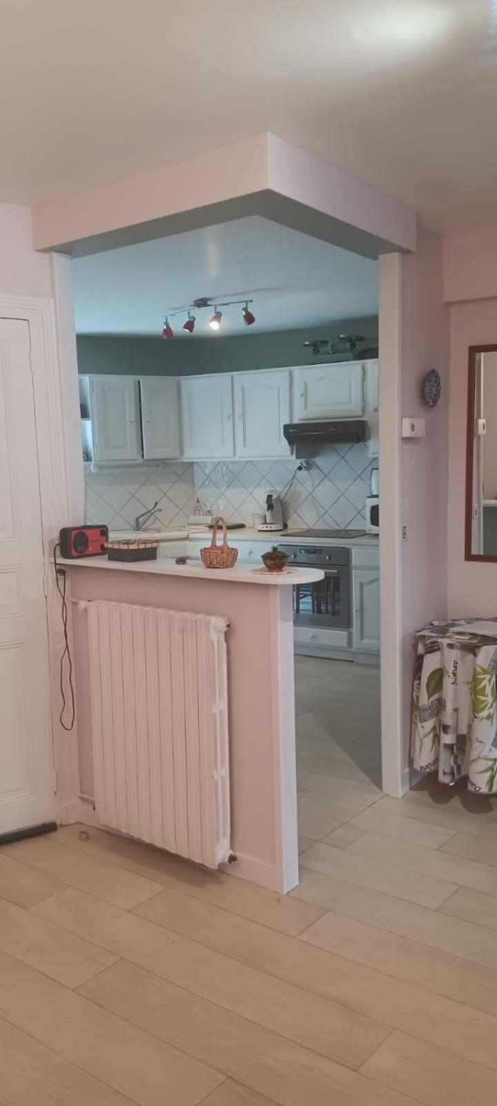 Appartement 120 M² Duplex Coeur Historique Au Calme Le Puy-en-Velay Zewnętrze zdjęcie